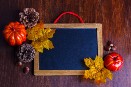 Autumn still life arrangement of pumpkins, nuts and yellow leaves around a blank vintage chalk boardの写真素材