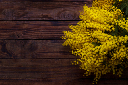 mimosa flowers on dark oldrustic wooden backgroundの写真素材