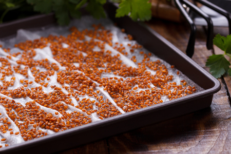 Cress salad seedsの写真素材