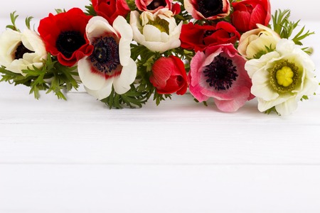 White and red anemone flowers on white wooden background, copy spaceの写真素材