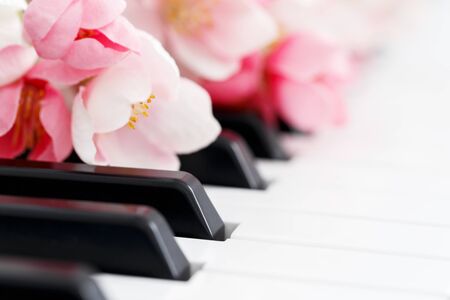 Romantic concept, piano and pink spring blossom flowers, close up