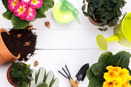 Gardening tools and flowers on wooden background, copy space flat layの写真素材