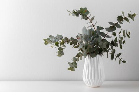Bouquet of eucalyptus in the ceramic vase on the table against grey wall, minimalist interior designの写真素材