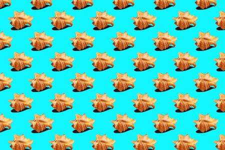 Seashells on blue, background, seamless pattern