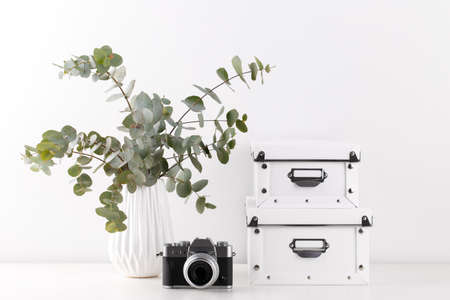 Bouquet of eucalyptus in the ceramic vase camera camera and storage boxes on the table against white wall, minimalist interior designの写真素材