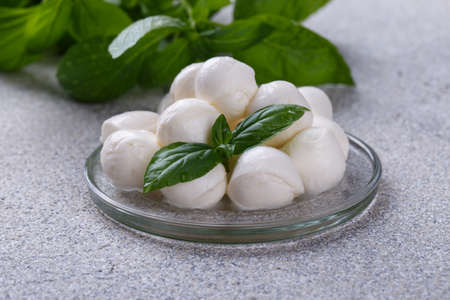 Mozzarella cheese and basil on grey stone table copy space. Ingredients for Italian Caprese saladの写真素材