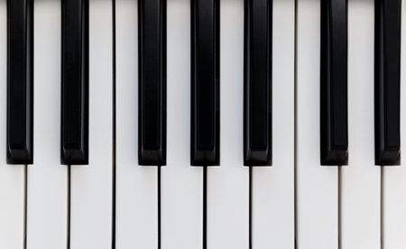 Black and white piano keys flat lay from above