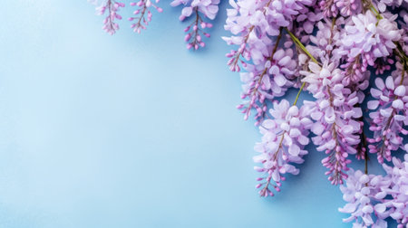 Wisteria flowers on light blue background with copy space Generative AIの素材