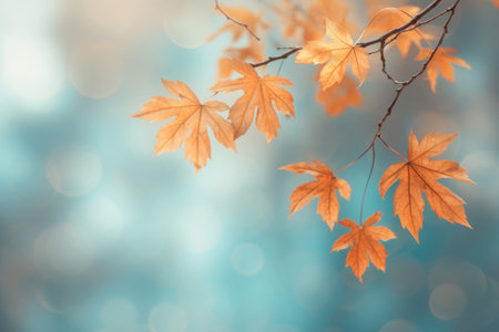 Yellow and orange leafs on blue background, autumn Generative AIの素材