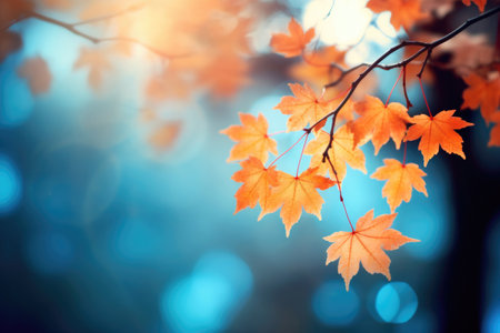 Yellow and orange leafs on blue background, autumn Generative AIの素材
