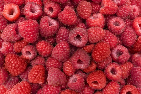 Juicy fresh raspberries and raspberry background