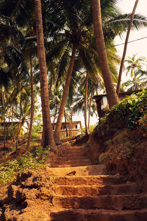 Staircase leads up to the house in the palm trees in the rainforestの写真素材
