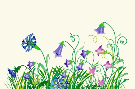 Wild flowersのイラスト素材
