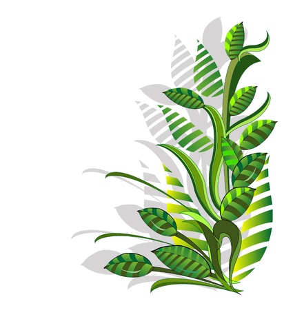 abstract composition from green plants のイラスト素材