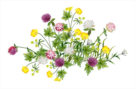 Beautiful composition of wild flowers のイラスト素材