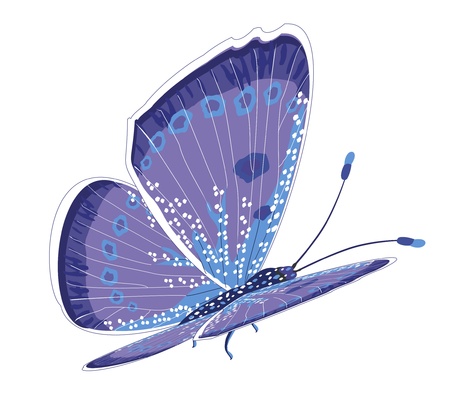 Beautiful isolated blue butterfly のイラスト素材