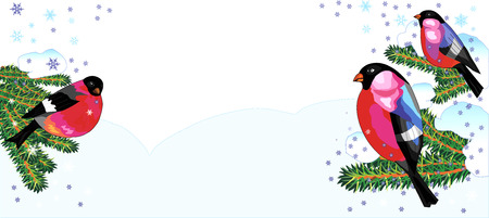 Bullfinch on a branch のイラスト素材