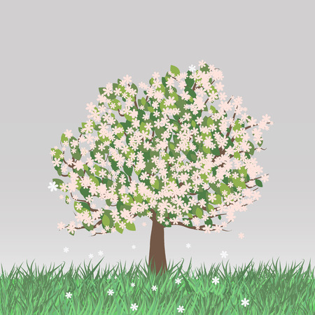 Blossoming pink flowers tree on grass fieldのイラスト素材