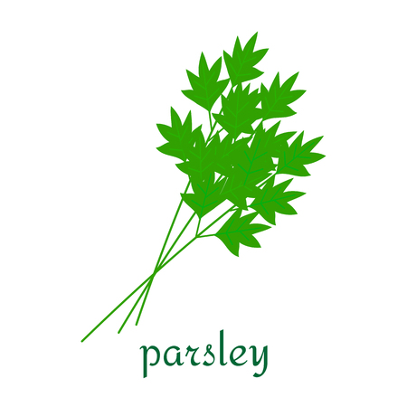 Parsley icon.のイラスト素材