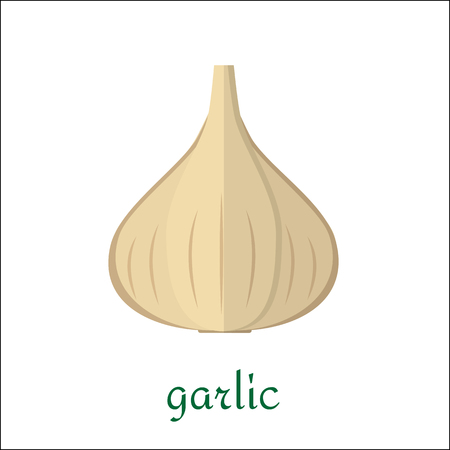 Garlic icon in flat style. Isolated object, logo. Vegetable from the farm. Organic food. Vector illustration.のイラスト素材