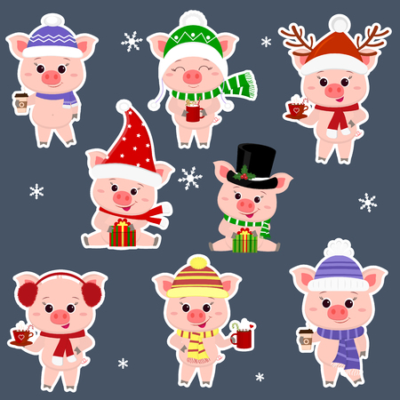 Set of stickers eight pigs in different hats and a scarf. Keep a cup of various hot drinks and gifts. Happy New Year and Merry Christmas. The symbol of the Chinese New Year. Vector.のイラスト素材