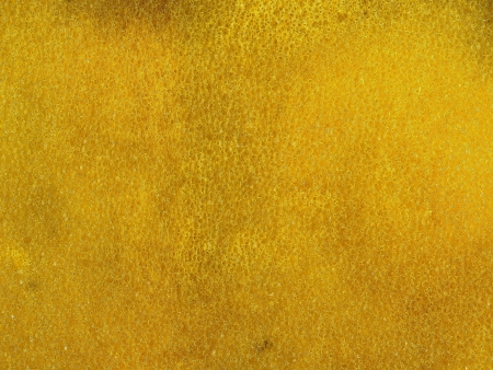 Abstract background yellow dirty spongeの写真素材