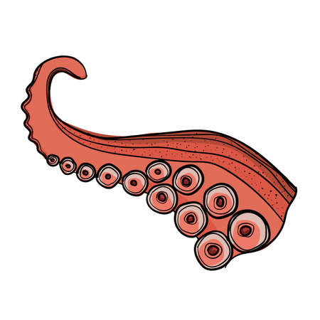 Vector illustration of octopus tentacle using shades of green and strokes.のイラスト素材