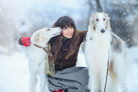 Christmas walk. Beautiful surprised woman in winter clothes with greyhound dogs graceful winter background with snow, emotions. portrait of a woman. New Year.の写真素材