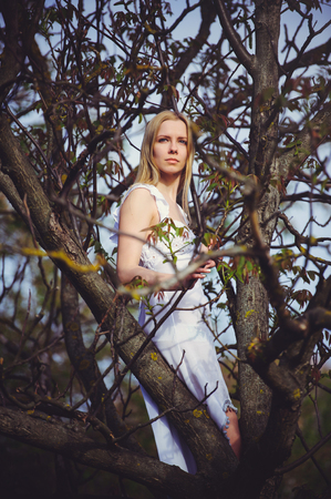beautiful blond woman in tree branches, dressed in white dress looking forward.の写真素材