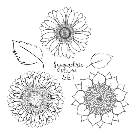 Floral symmetric summer flowers set. Hand drawn Doodle flower. Outline Vector illustration on white background. Collection for pattern, template, banner, posters, invitation and greeting card designのイラスト素材