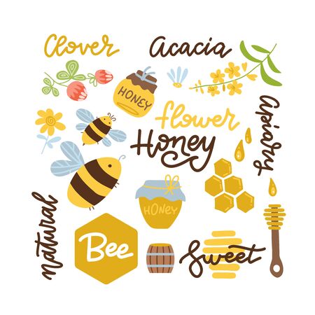 Set of bee, honey honey elements, camomile, clover flowers, wooden spoon, honeycomb, jar,  template and other beekeeping lettering. Vector flat hand drawn illustration.のイラスト素材