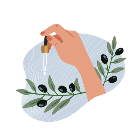 Essential oils. Olive oil and branch. Elegant female hand holding a pipette. Medicinal herb with glass dropper. Ccosmetics, medicine, treating, aromatherapy, package design . Flat vector illustration.のイラスト素材