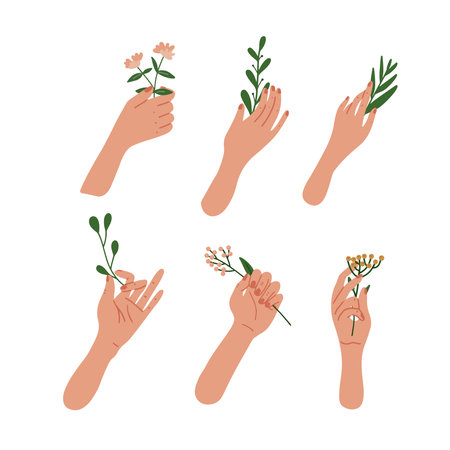 Elegant female Hands holding flowers and leaves on branches. Collection of individual women hands with various plants. A beautiful and naturalistic concept. Flat vector illustration.のイラスト素材
