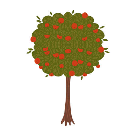 Apple tree flat hand drawn vector illustration isolated on white background. Farming concept - tree with red delicious fruits. harvest infographic elements.のイラスト素材