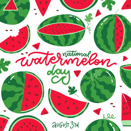 National Watermelon Day square card at the white background. many fresh juicy red fruits with lettering text. Vector flat hand drawn illustration.のイラスト素材