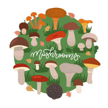 Mushrooms edible vegeterian mushrooming poster circle composition. Cartoon champignon, boletus, forest chanterelle patterned round concept on green grass circle. Vector flat hand drawn illustration.のイラスト素材
