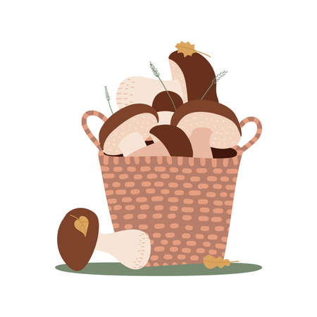 Wicker Basket with porchini mushrooms isolated on white background. Set of cut edible wild forest mushrooms. Vector cartoon flat hand drawn illustration.のイラスト素材