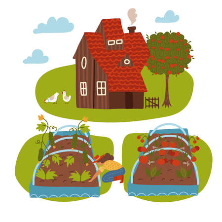 Farm Scene with Country house, Female Farmer, Summer Rural Landscape and garden bed. Gardening and Farming Concept. Cartoon Flat Vector Illustrationのイラスト素材