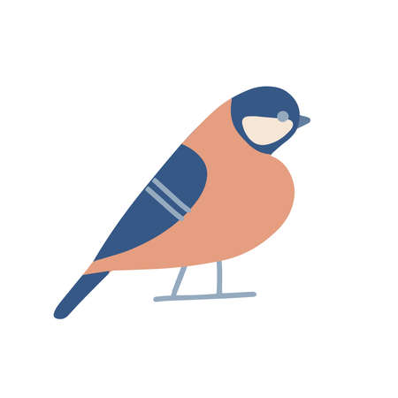 Abstarct titmouse bird . Freehand isolated element. Vector flat Illustration. Only 5 colors - Easy to recolor.のイラスト素材