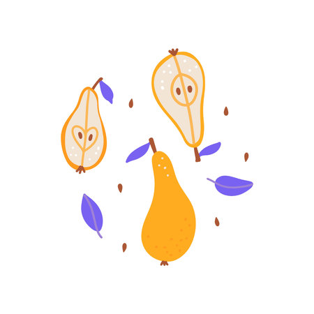 Composition of abstract pear fruits, pit and botanical elements, leaves. Minimalistic isolated print. Poster, room interior decor,textiles, card, concept, clipart. Flat hand drawn vector illustrationのイラスト素材