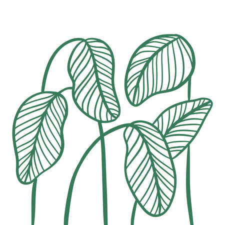 Trendy abstract lineare leaves composition wor primt in wall. Hand drawn sketch line print for textile, poster, card etc. Vector sketch hand drawn illustration.のイラスト素材