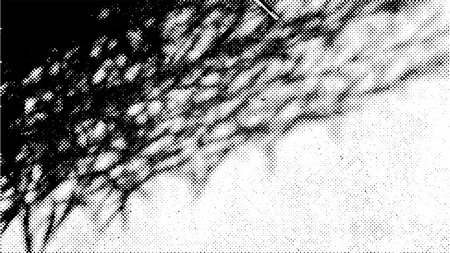 Natural grungy background, halftone black dots distress organic texture with floral shadows. Vector 16x9 illustration.のイラスト素材