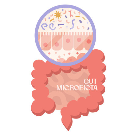 Epithelium of gits. Human microbiome and intestine anatomical clipart. Microbiota and surface area of intestinal walls. Intestinal villi and epithelial cells. Digestive system vector illustrationのイラスト素材