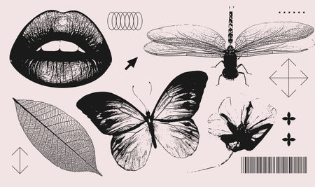Lips, butterfly, dragonfly, flower, leaf realistic elements with a retro grainy photocopy effect. Y2k print for brutal design. Grain effect and stippling. Vector dots textured illustration collection.のイラスト素材