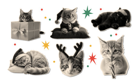 Christmas halftone collage clipart set. Funny halftone cut out cat head in Santa hat, kitten with candy cane, sleeping feline. Vintage dotted stickers. Retro grunge mixed media vector illustrationのイラスト素材
