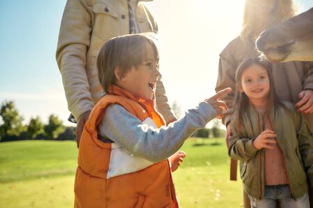 Learning more about animals. Excited little boy watching young dappled deer and smiling while spending great time with his family in zooの写真素材
