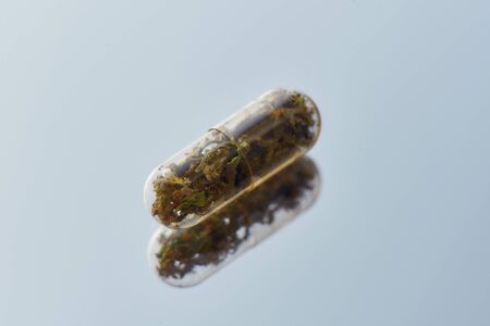 Close up of herbal pill, capsule, drug isolated over light background. Alternative medicine, treatment conceptの写真素材