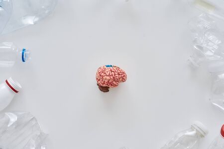 Flatlay composition with different empty plastic bottles and plastic model of human brain in the...