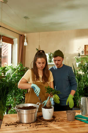 Happy man and woman working with transplanting plantの写真素材