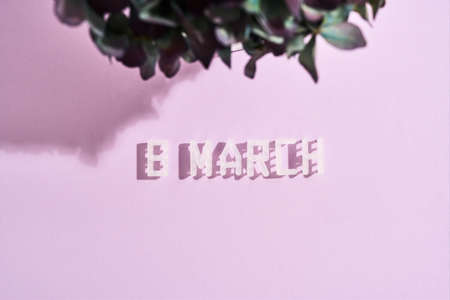 Top view of text 8 MARCH and flowers on pastel pink background, vertical shotの写真素材